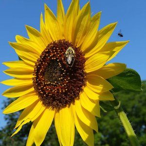 Meet your Posher, Tamara